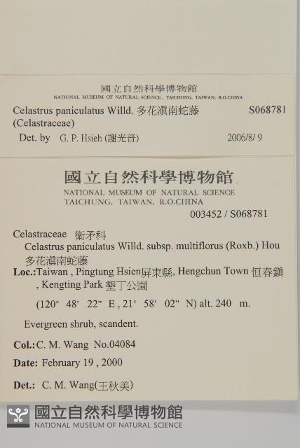 多花滇南蛇藤藏品圖，第2張