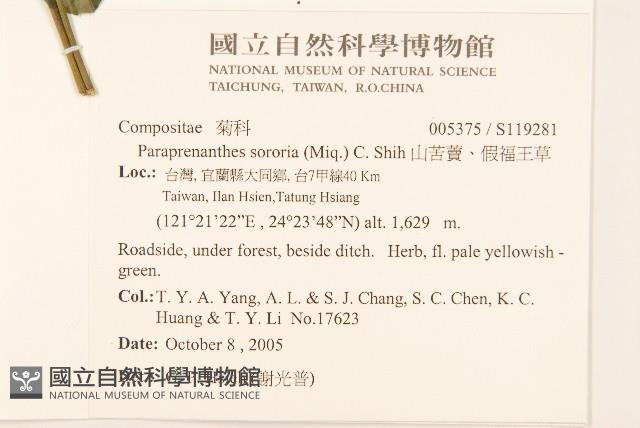 山苦藚、假福王草藏品圖，第2張