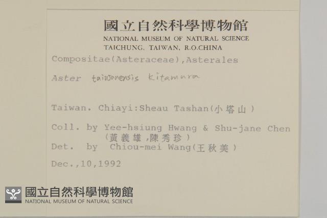 臺灣馬蘭藏品圖，第2張