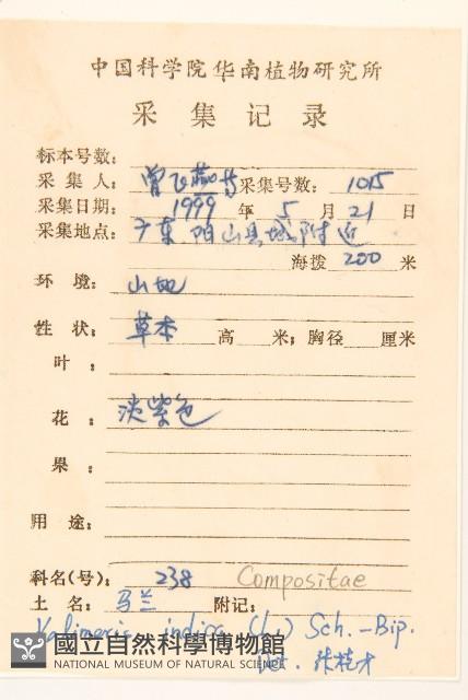 雞兒腸藏品圖，第2張