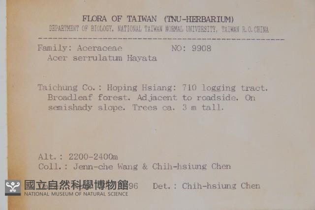 青楓藏品圖，第2張