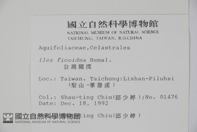 臺灣糊樗藏品圖，第2張