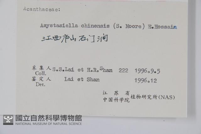 擬馬偕花、白接骨藏品圖，第2張