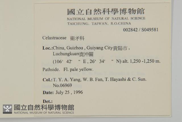 登錄號:S049581藏品圖，第2張