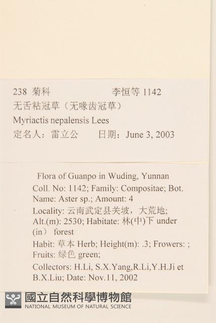 圓舌粘冠草藏品圖，第2張