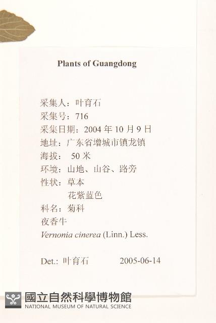 一枝香藏品圖，第2張