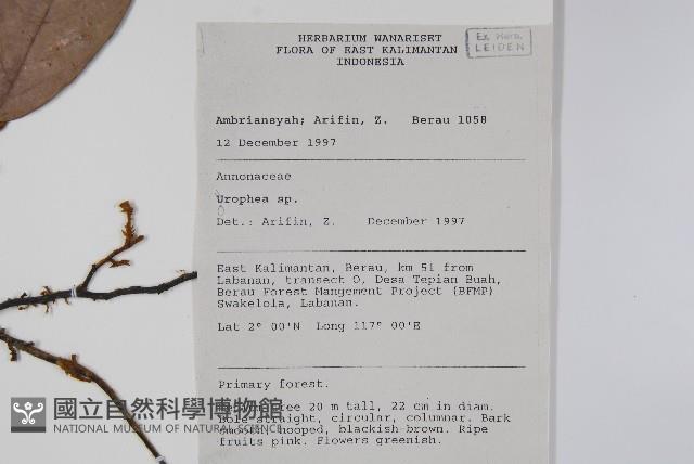 登錄號:S058825藏品圖，第2張