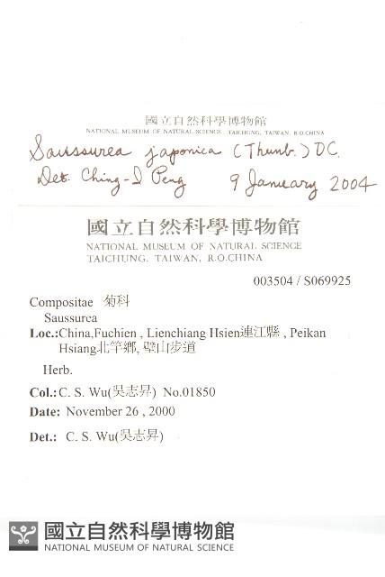 鳳毛菊藏品圖，第2張