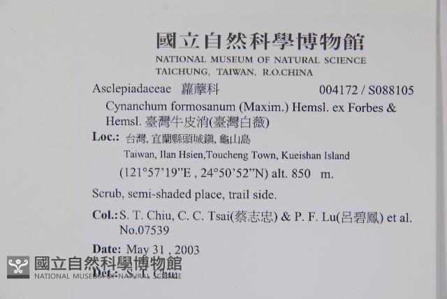 臺灣牛皮消、臺灣白薇藏品圖，第2張