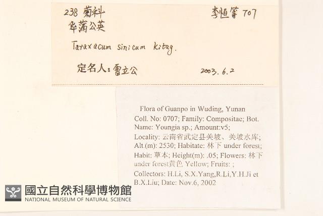 華蒲公英藏品圖，第2張