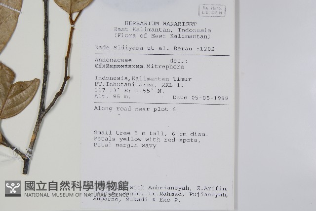 登錄號:S069815藏品圖，第2張