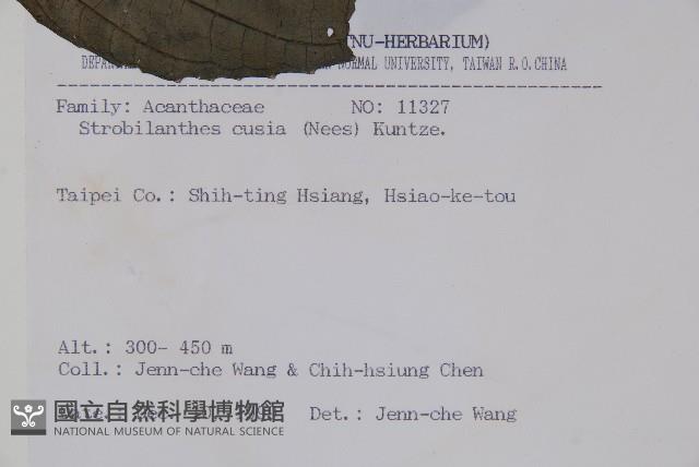 馬藍藏品圖，第2張