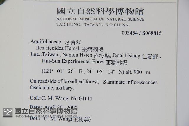 臺灣糊樗藏品圖，第2張