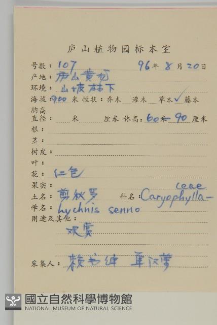 剪秋羅、剪秋紗、漢宮秋藏品圖，第2張