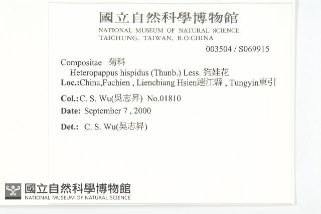 狗娃花藏品圖，第2張