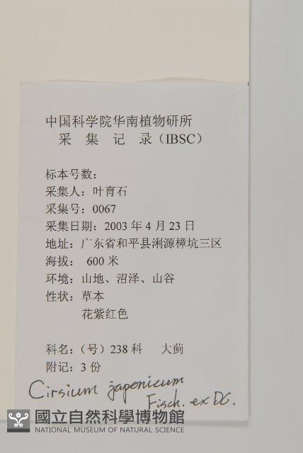 小薊藏品圖，第2張