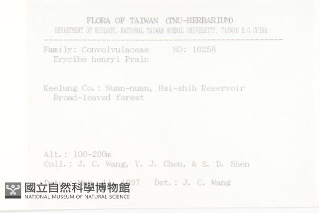 亨利氏伊立基藤藏品圖，第2張