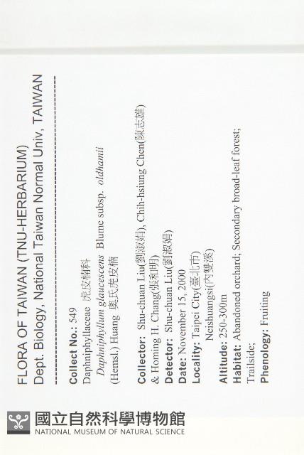 耿氏虎皮楠藏品圖，第2張