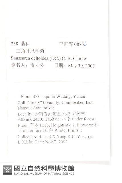 臺灣青木香藏品圖，第2張