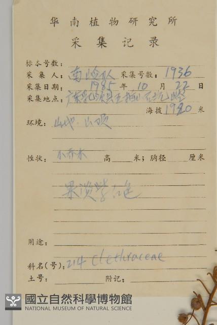 江南山柳藏品圖，第2張