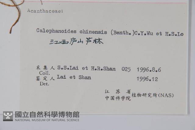 杜根藤藏品圖，第2張