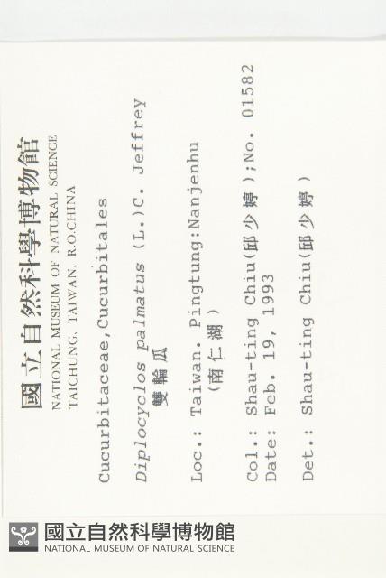 雙輪瓜藏品圖，第2張