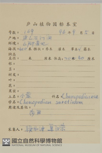 小藜藏品圖，第2張