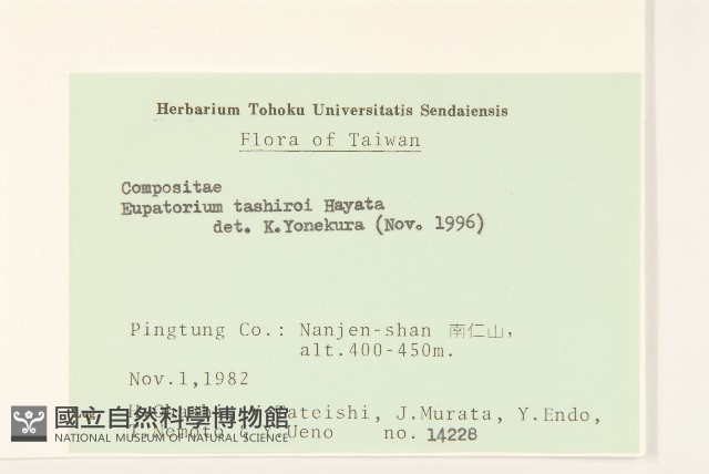 田代氏澤蘭藏品圖，第2張