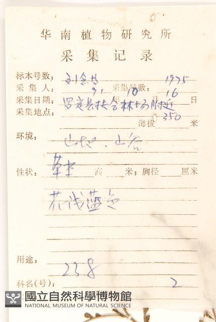 雞兒腸藏品圖，第2張