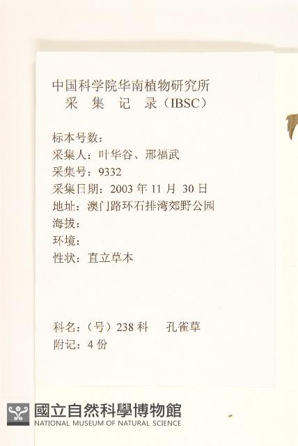 孔雀草、紅黃草、萬壽菊藏品圖，第2張