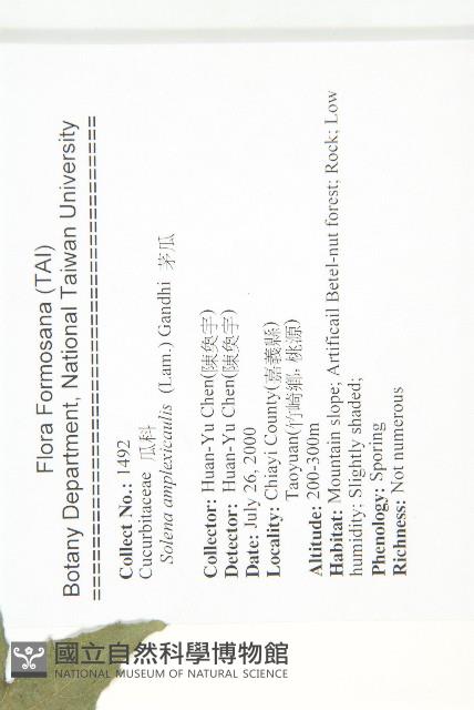 茅瓜藏品圖，第2張