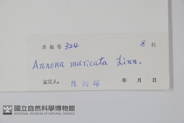 刺番荔枝藏品圖，第2張