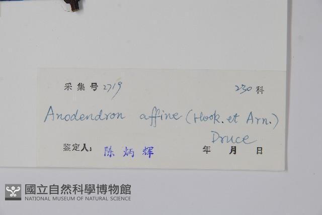 小錦蘭藏品圖，第2張