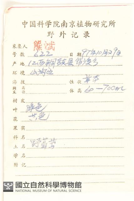 鵝仔草藏品圖，第2張