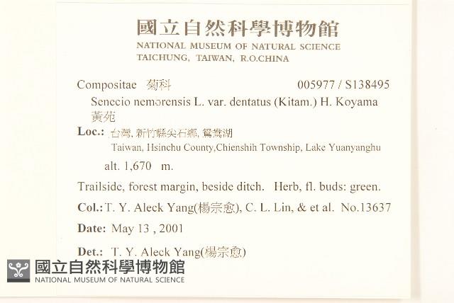 黃菀藏品圖，第2張