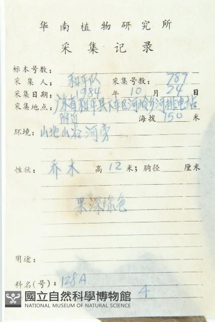 薯豆藏品圖，第2張