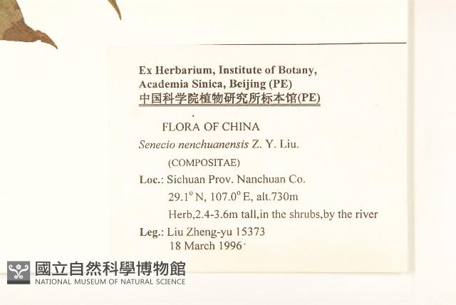 登錄號:S048495藏品圖，第2張