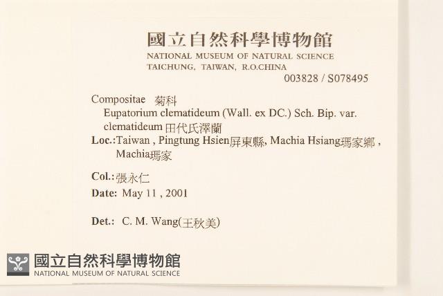 田代氏澤蘭藏品圖，第2張