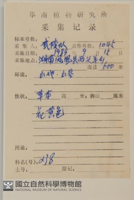 天名精藏品圖，第2張