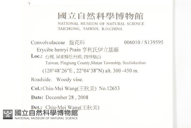 亨利氏伊立基藤藏品圖，第2張