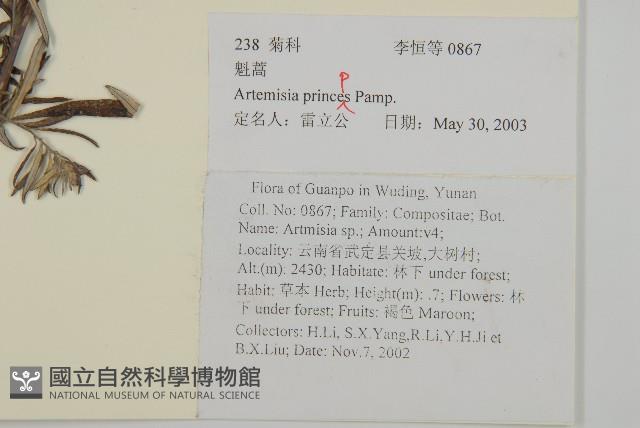 魁蒿藏品圖，第2張