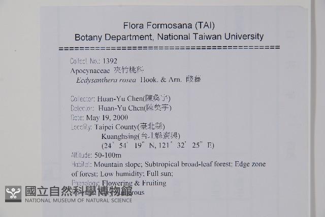 酸藤藏品圖，第2張