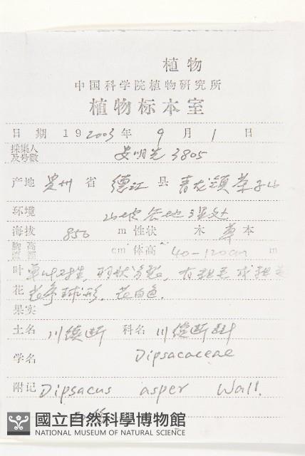 川續斷藏品圖，第2張