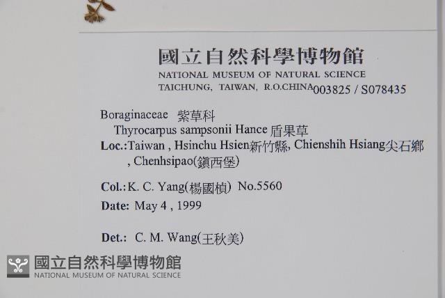 盾果草藏品圖，第2張