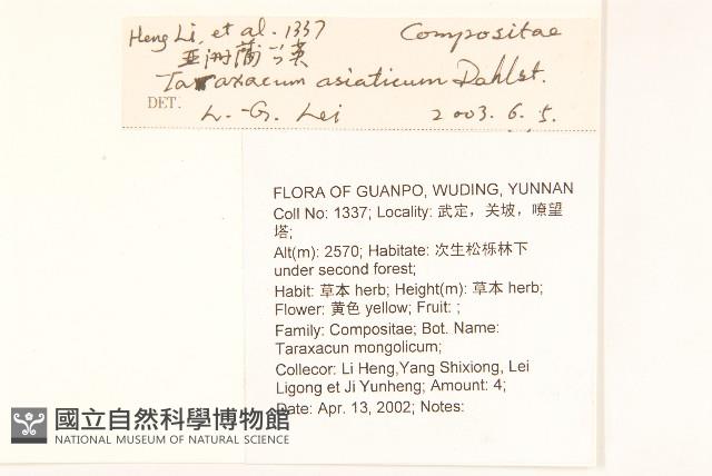 亞洲蒲公英藏品圖，第2張