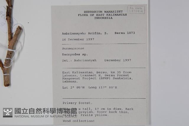 登錄號:S058835藏品圖，第2張