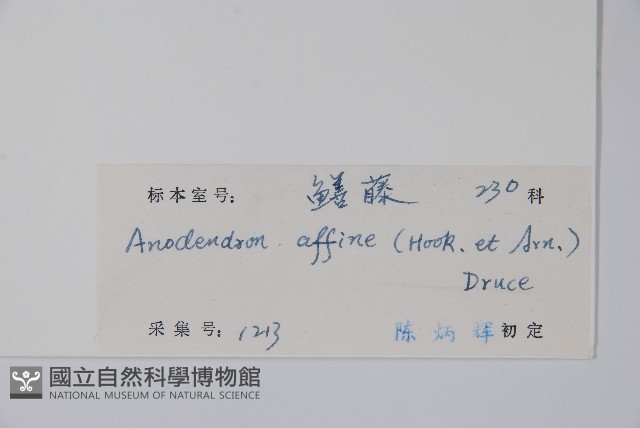 小錦蘭藏品圖，第2張