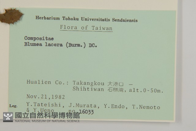 生毛將軍藏品圖，第2張