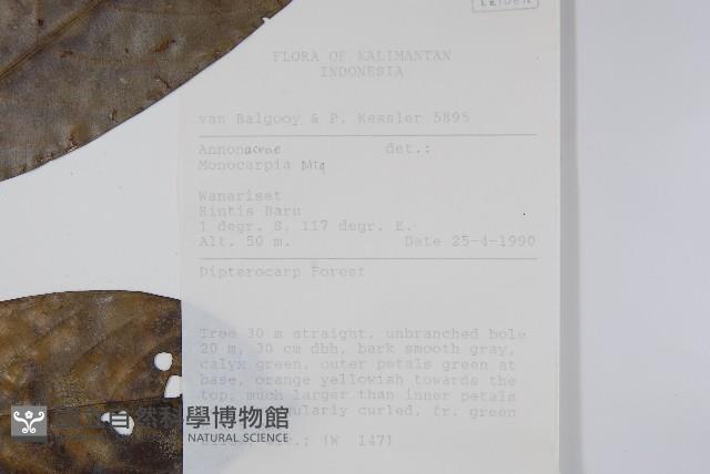 登錄號:S058765藏品圖，第2張