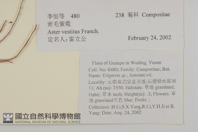 銀木荷藏品圖，第2張